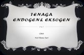 TENAGA ENDOGEN& EKSOGEN - yulifanasari.comyulifanasari.com/wp-content/uploads/2018/05/Tenaga-Endogen-dan... · Tenaga dari dalam bumi yg membentuk ... Pulau Jawa, dari Kabupaten Grobogan