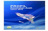 Profil Kesehatan Aceh Tahun 2016 - depkes.go.id · silang data dengan para pemegang program melalui mekanisme pemutakhiran data di tingkat Kabupaten/Kota dan tingkat Provinsi. Data