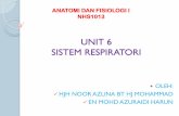 UNIT 6 SISTEM RESPIRATORI - yeddah.net 6.pdf · unit 6 sistem respiratori oleh: hjh noor azlina bt hj mohammad en mohd azuraidi harun anatomi dan fisiologi i nhs1013
