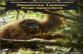 Informasi singkat tentang jenis primata baru khas Sumatera ... · di Ekosistem Batang Toru yang meliputi hutan dataran tinggi yang tersebar di tiga ... • Jenis kera besar yang terlangka