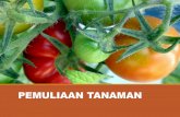 Pemuliaan Tanaman (Plant Breeding)adydaryanto.staff.gunadarma.ac.id/Downloads/files/61344/1... · FISIOLOGI TANAMAN STATISTIKA ... Warna → semangka kuning, anggrek kandungan bahan