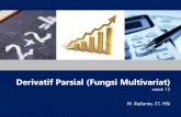 Derivatif Parsial (Fungsi Multivariat) · dy dz. DERIVATIF PARSIAL ... Misalkan jumlah penjualan merupakan fungsi dari besarnya belanja TV (x) dan radio (y). Variabel x dan y dalam