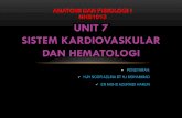 UNIT 7 SISTEM KARDIOVASKULAR DAN HEMATOLOGI 7 - hematologi.pdf · pensyarah: hjh noor azlina bt hj mohammad en mohd azuraidi harun unit 7 sistem kardiovaskular dan hematologi anatomi