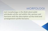 Soil morphology is the field observable attributes of the ... · Morfologi tanah: suatu sarana dalam penyelidikan ilmiah dengan tujuan untuk menguraikan, melukiskan dan melaporkan