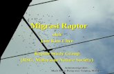 Apakah ertinya migrasi? - rain2008.files.wordpress.com · Migrasi raptor sebagai peluang pelajaran • Raptor migran bertumpu di tempat migrasi tradisional untuk bermigrasi • Penumpuan