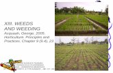XIII. WEEDS AND WEEDING - Wartabepe Online · XIII. WEEDS AND WEEDING Acquaah, George. 2005. Horticulture. Principles and Practices. Chapter 9 (9.4), 23 TOPIK 12. MK. DASAR BUDIDAYA