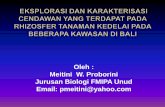 Oleh : Meitini W. Proborini Jurusan Biologi FMIPA Unud Email: … · Cendawan di rhizosfer dapat berbentuk miselium, spora (konidia), dan khlamidospora. Perbedaan tekstur tanah berpengaruh