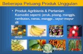 Beberapa Peluang Produk Unggulan - Kadin Indonesia · Nenas Mangga Wortel Cabai Kubis Beberapa Peluang Produk Unggulan Pisang • Produk Agribisnis & Pertanian Komoditi seperti: jeruk,