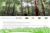 Monitoring Vegetasi di Wilayah Kerja KFCP - forda-mof.org · LAPORAN KERJA TEKNIS. Monitoring Vegetasi di Wilayah Kerja KFCP . Tinjauan karakteristik hutan rawa gambut . ... berbagai