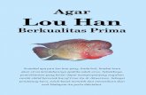Lou Han Agar Lou Han - omkicau.com fileBagaimana cara menyiapkan sarana pemeliharaan, memilih bakalan yang baik, dan ... cupang. Ikan besar 10—15 cm memerlukan akuarimu lebih besar,