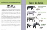 Golongan yang cuba menyelamatkan tapir Tapir di dunia fileSehingga hari ini,TSG mempun yai hampir 100 orang ahli dari 25 negara di seluruh dunia – termasuklah penyelidik lapangan,