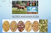 NUTRISI MAKANAN KUDA - equine-nutrition.com.myequine-nutrition.com.my/wp-content/uploads/2018/12/FEEDING-HORSES...•lemak yang terpilih kini diiktiraf sebagai salah satu sumber tenaga