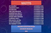 MASTITIS - blog.ub.ac.idblog.ub.ac.id/gedeekodarmono/files/2013/05/Kelompok-5-Mastitis.pdf · Berdasarkan gejala yang nampak mastitis dapat digolongkan menjadi klinis dan yang tidak