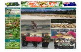 04Aug2016 - cocos.crc.net.au · kamu tidak lagi memerlukan dan membuat pembezaan hari ini! Shire of Cocos (Keeling) Islands akan meletakkan ketegasan dalam usaha ini dalam edisi Atoll