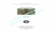 FAMILI ZAMIACEAE at online available fileWulan Sarilestari A251060071 Tanaman dan Sistem Ruang Terbuka Hijau Praktikum I_Pengenalan Ragam Tanaman Lanskap ( Zamiaceae) i DAFTAR ISI