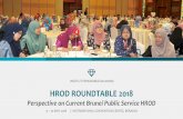 INSTITUT PERKHIDMATAN AWAM HROD ROUNDTABLE 2018 … Roundtable 2018... · Institut Perkhidmatan Awam, 2018 Perspective Brunei Public Service HROD STRATEGIC HRD:.. STRATEGIC ROLES