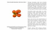 SOP Pascapanen Mangga setelahSukajadi Pascapanen Mangga... · 2016-09-08 · Tali pengikat/ pita sealer e. Alat tulis Prosedur Pelaksanaan : a. ... c. Timbang buah bersama kemasan.