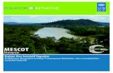 MESCOT - Equator Initiative · rawa-rawa, hutan paya gambut dan hutan batu kapur. Disebabkan kepelbagaian jenis hutan, dataran ini kaya dengan kepelbagaian habitat flora dan fauna.