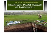 DESKRIPSI PROFIL TANAH - blog.ub.ac.id · Buku ini merupakan buku pelengkap dalam matakuliah Morfologi dan Klasifikasi Tanah, serta Survei Tanah dan Evaluasi Lahan untuk mahasiswa