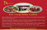 Suo Yang White Coffee - recovworld.asia fileherba terbaik nusantara merupakan kopi kesihatan yang enak lagi menenangkan. Gabungan Kopi Arabika, Koko, Herba-herba terpilih serta di