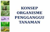 KONSEP ORGANISME PENGGANGGU TANAMANevan_ramdan.staff.gunadarma.ac.id/Downloads/files/52816/C.+KONSEP...tumbuhan perlu dikenali dengan menggunakan ... Organisme golongan tumbuhan dan