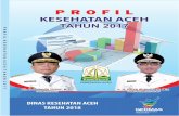 PROFIL KESEHATAN ACEH TAHUN 2017 - dinkes.acehprov.go.id · menggambarkan kondisi kesehatan di provinsi Aceh. Buku Profil Kesehatan Aceh ini disajikan dalam bentuk cetakan dan juga