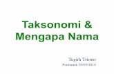 Taksonomi & Mengapa Nama - Flora Indonesia Klasifikasi di mana tingkatan yang lebih tinggi mencakup semua tingkatan yang lebih rendah Posisi Penempatan sebagai anggota suatu takson
