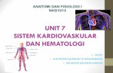 UNIT 7 SISTEM KARDIOVASKULAR DAN HEMATOLOGIyeddah.net/azuraidi/nhs1013/UNIT 7 - cvs.pdf · unit 7 sistem kardiovaskular dan hematologi oleh: hjh noor azlina bt hj mohammad en mohd