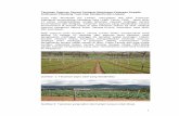 Tanaman Sayuran Secara Fertigasi Membawa Kejayaan Kepada ...103.8.163.254/document/upload/dLOHHLnPAWA8ND5ifruJwvp4FCVDAPvV.pdf · konvensional di Sungai Palas di atas kawasan seluas