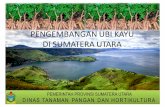 PENGEMBANGAN UBI KAYU DI SUMATERA UTARAcassavavaluechains.net/wp-content/uploads/2019/06/Medan_PENGEMBANGAN... · Sumatera Utara Maju, Aman, Sejahtera dan Bermartabat Misi 1. ...