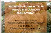 “POTENSI & HALA TUJU · INDUSTRI DURIAN MALAYSIA” Mohd ... Pengarah, Fresh Nursery Farm Consultant Sdn. Bhd. 019-9893370 lokmanisa.59@gmail.com. ... DURIAN - DURIAN KAMPUNG…..