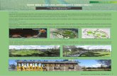 Documents... · 2018-12-31 · baharu dan sebagai kemudahan percuma serta taman permainan terbesar di daerah Kota Kinabalu ... aktif seperti bermain bola selain sebagai ... Antara