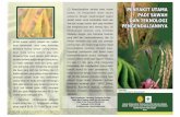 cetak leaflet penyakit utama padi sawah OKsumbar.litbang.pertanian.go.id/images/penyakitpadisawah.pdf · Title: cetak leaflet penyakit utama padi sawah OK.cdr Author: KOM-2 Created