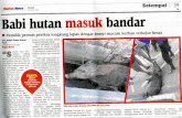 filejerat tali anggota JPAM, haiwan ber- kenaan berjaya ditangkap menggunakan jerat tali dan dia menghubungi Jabatan Pertahanan Awam Malaysia (JPAM) Kerian untuk menangkap binatang