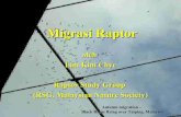 Migrasi Raptor - bicons.files.wordpress.com · • Kompass untuk menentu arah angin dan migrasi • Tally counter • Jam • Buku panduan raptor. Mencari raptor migran di langit