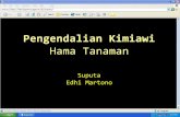 Pengendalian Kimiawi - hpt.faperta.ugm.ac.idhpt.faperta.ugm.ac.id/.../2017/09/12-Pengendalian-Kimia-Hama-Tanaman.pdfCommon Misconceptions “The term pesticide covers a wide range