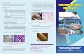 leaflet penyakit ikan laut - djpb.kkp.go.id · Title: leaflet penyakit ikan laut Created Date: 5/30/2017 11:03:57 AM
