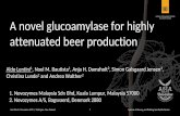 A novel glucoamylase for highly attenuated beer productionconvention2018.ibdasiapac.com.au/wp-content/uploads/2018/08/1600-Aldo... · A novel PE Glucoamylase enzyme, a variant from