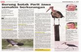 26.FEBRUJUU 2016 ® JUMAAT Burungbotak Parit Jawa ... · punca daripada kemusnahan kawa- akan membuat sarang diatas pokok san ekosistem yang menjadi habitat yang tinggi sekurang-kurangnya