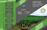 sustainability.mpob.gov.mysustainability.mpob.gov.my/wp-content/uploads/2017/12/CoPN-MalayVer.pdf · Kod Amalan Baik Tapak Semaian Untuk Tapak Semaian Sawit (CoPN) ini telah menetapkan