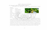 BAB II. TINJAUAN PUSTAKA 2.1. Tanaman Vanili (Vanilla ...eprints.umm.ac.id/52335/3/BAB 2.pdf · giberilin. Auksin dapat disusun di jaringan meristem di dalam ujung-ujung tanaman seperti