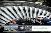 Annual Report 2017 ENERGISING GROWTH · Teknik Janakuasa 100% Malakoff Engineering Sdn Bhd 100% MESB Project Management Sdn Bhd I 100% Tuah Utama Sdn Bhd 20% Lekir Bulk Terminal Sdn