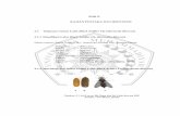 BAB II KAJIAN PUSTAKA DAN HIPOTESIS 2.1 Tinjauan Umum ...eprints.umm.ac.id/51752/3/BAB II.pdf · Siklus hidup lalat H. illucen Sumber: Wardhana (2016) yang dimodifikasi Jumlah telur