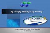 Sg. Luit (Sg. Maran) @ Sg. Pahang - Waterapps.water.gov.my/jpskomuniti/dokumen/DEEP SG MARAN...1. LALUAN ALIRAN AIR SUNGAI MARAN KE SUNGAI LUIT Sungai Maran sepanjang 7km mengalir