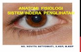 ANATOMI FISIOLOGI SISTEM INDERA PENGLIHATANadhkediri.ac.id/media/file/46005007438anatomi-fisiologi...Kelopak Mata (Palpebra) • Kelopak mata adalah lipatan kulit yang lunak yang menutupi
