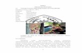 2.1 Tentang Tanaman Belimbing Wuluh (Averrhoa bilimbieprints.umm.ac.id/42560/3/jiptummpp-gdl-miftakhulf-50150-3-babii.pdf · Nama umum/ Nama Dagang: Belimbing Wuluh Gambar 2.1 Buah