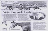 Veterinar kuda lumbpsasir.upm.edu.my/id/eprint/1985/1/0234.pdf · 2013-05-27 · termasuk tempang, sakit sendi, gigi, kuku, parasit, trauma, batuk, mata clan telinga. Sehubungan itu,