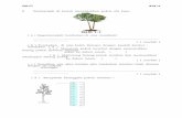 sumberpendidikan.com · Web viewsekali ke dalam tanah. ( ) ( ii ) Memotong batang pokok tersebut dan memasukkan sebahagian batang pokok ke dalam tanah. ( ) [ 1 markah ] ( c ) Ramalkan