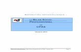 RM BSP CPAS - 2005 · 2012-04-11 · Référentiel méthodologique : Bilan Socio-Professionnel en CPAS – Version 2011 Page 5 INTRODUCTION . 1. Du BSP initial au BSP actualisé .