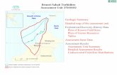Brunei-Sabah Turbidites Assessment Unit 37010102...Assessment Unit (name, no.) Brunei-Sabah Turbidites, 37010102 ALLOCATION OF UNDISCOVERED RESOURCES IN THE ASSESSMENT UNIT TO COUNTRIES